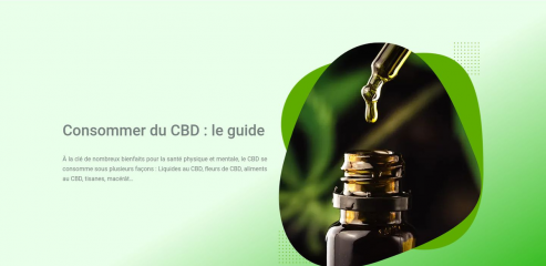 https://www.positive-cbd.com